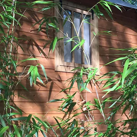 Le Lodge Lacanau